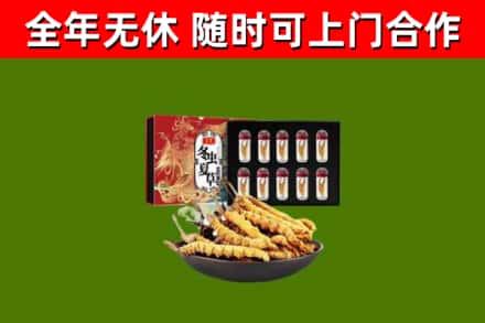林甸县回收冬虫夏草价格