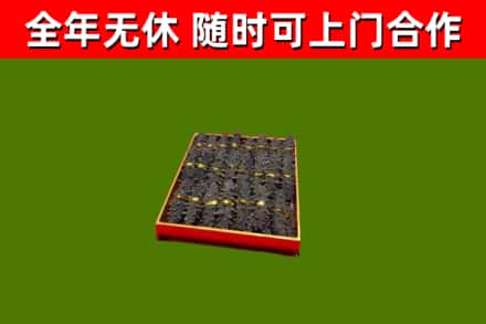 林甸县回收海参